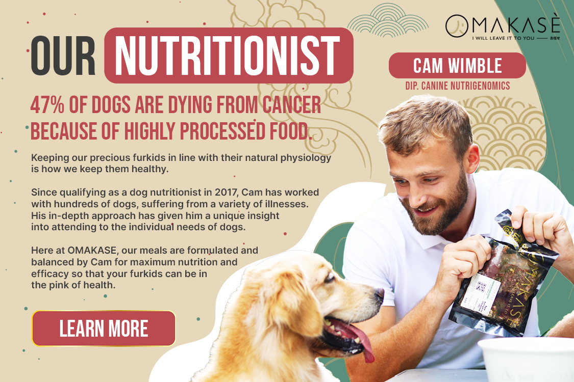 How venture technologies are shaping the future of pet food nutrition