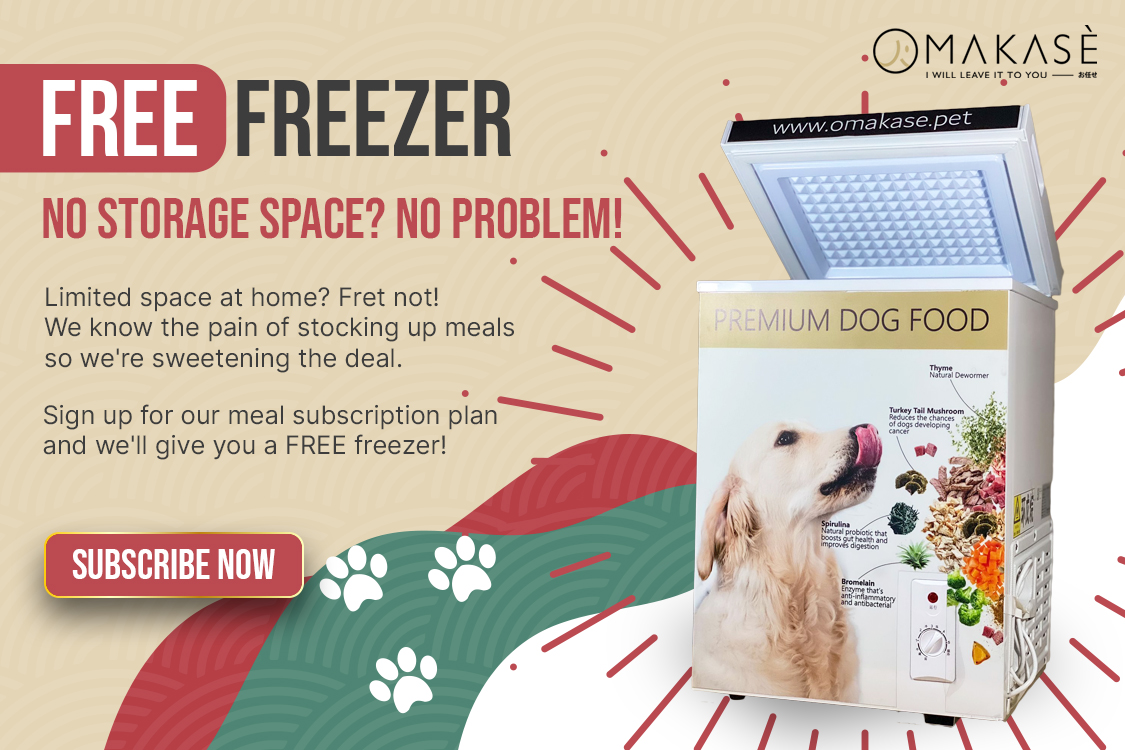 6 Of The Best Pet Blogs